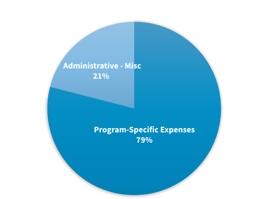 A pie chart showing the percentage of program specific expenses.