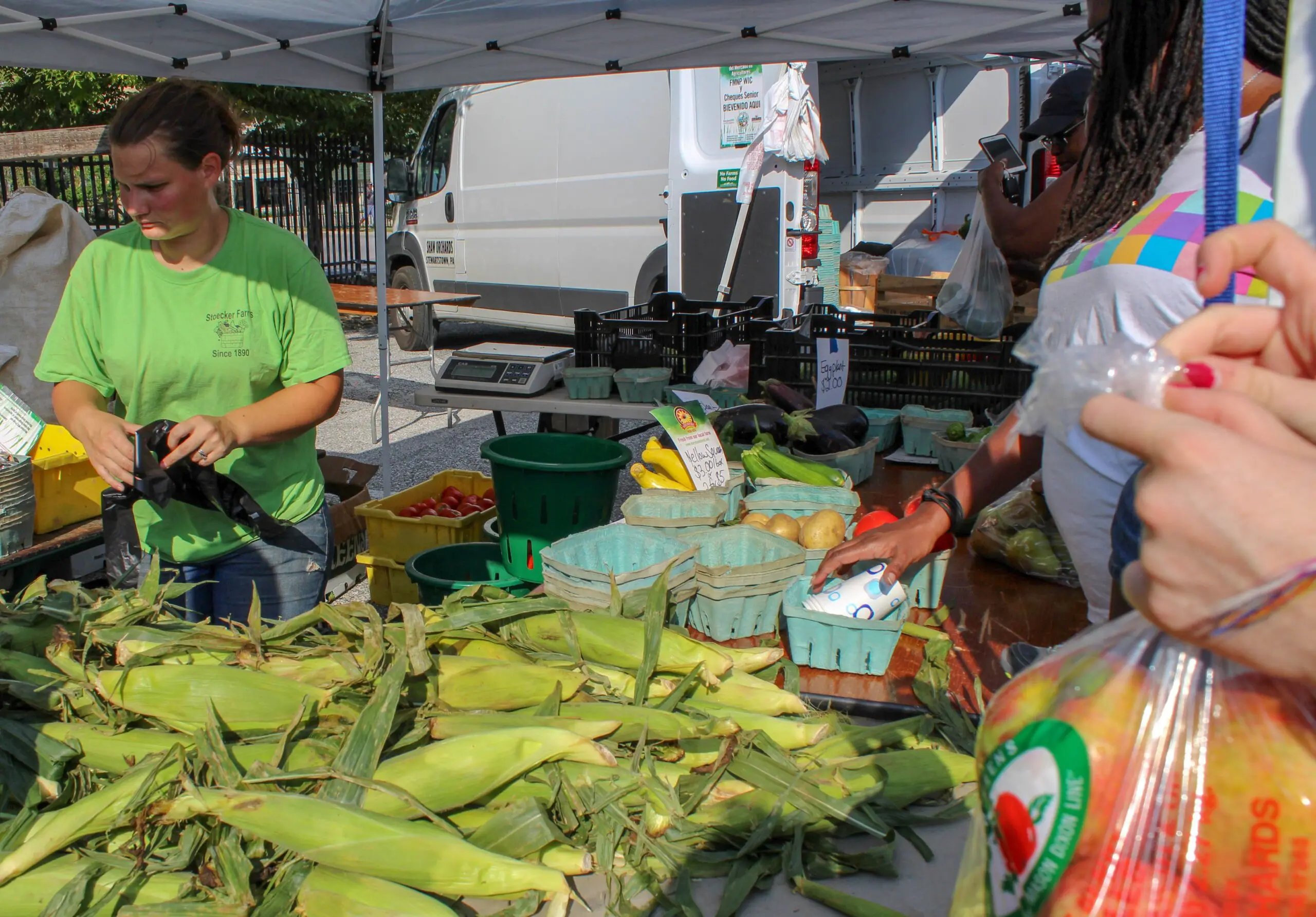 A group of people standing around corn on the cob.